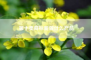 第十类商标能做什么产品