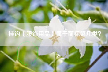 挂钩（服饰用品）属于商标第几类？