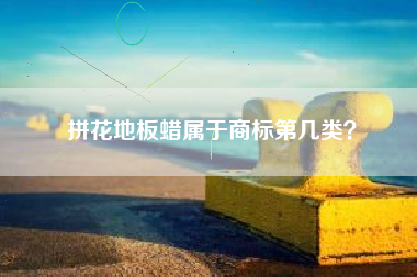 拼花地板蜡属于商标第几类？