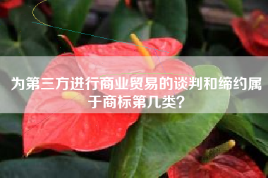 为第三方进行商业贸易的谈判和缔约属于商标第几类？