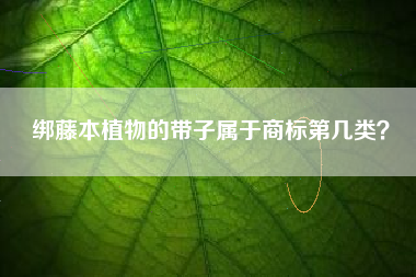 绑藤本植物的带子属于商标第几类？