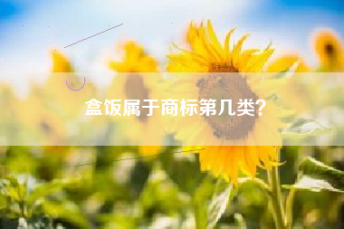 盒饭属于商标第几类？