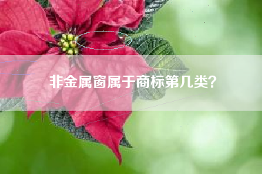 非金属窗属于商标第几类? 非金属窗属于商标第几类?
