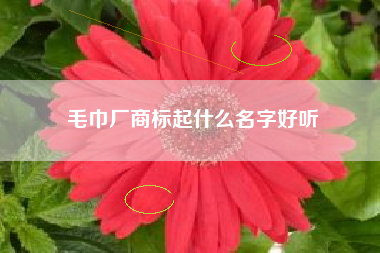 毛巾厂商标起什么名字好听