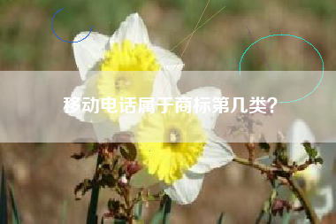 移动电话属于商标第几类？