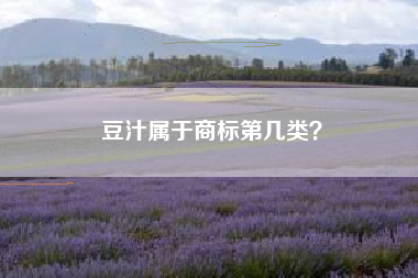 豆汁属于商标第几类？
