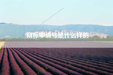 商标申请号是什么样的