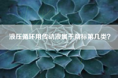 液压循环用传动液属于商标第几类？