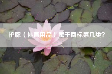 护膝（体育用品）属于商标第几类？