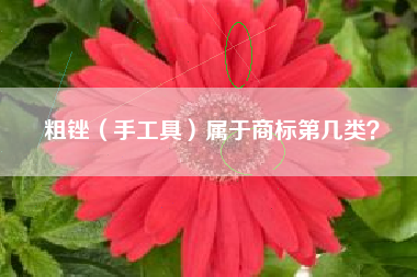 粗锉（手工具）属于商标第几类？