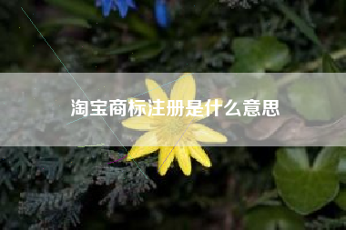 淘宝商标注册是什么意思