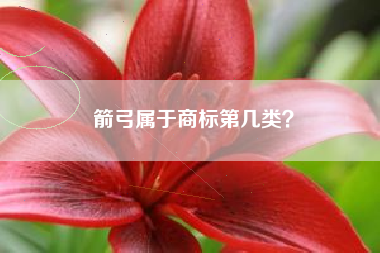 箭弓属于商标第几类？