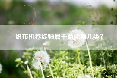 织布机卷线轴属于商标第几类？