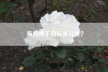 寿司属于商标第几类？