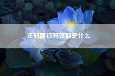 注册商标有效期是什么