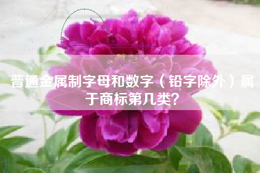 普通金属制字母和数字（铅字除外）属于商标第几类？