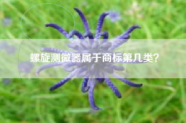 螺旋测微器属于商标第几类？
