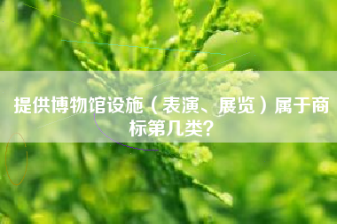 提供博物馆设施(表演、展览)属于商标第几类? 提供博物馆设施(表演、展览)属于商标第几类?