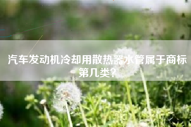 汽车发动机冷却用散热器水管属于商标第几类？