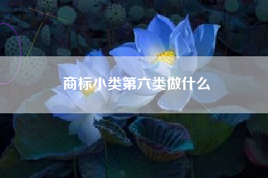 商标小类第六类做什么