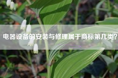 电器设备的安装与修理属于商标第几类？