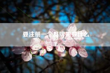 要注册一个品牌需要什么