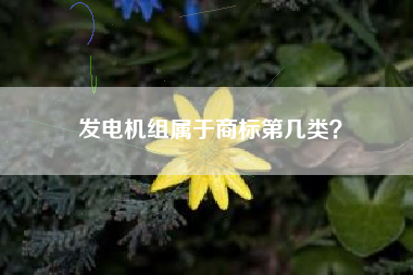 发电机组属于商标第几类？