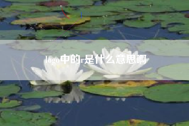logo中的r是什么意思啊