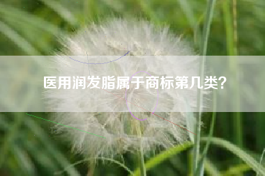 医用润发脂属于商标第几类？