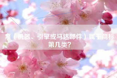 泵(机器、引擎或马达部件)属于商标第几类? 泵(机器、引擎或马达部件)属于商标第几类?
