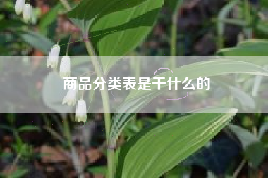 商品分类表是干什么的
