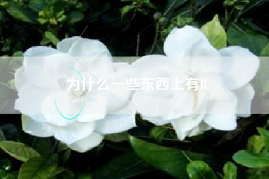 为什么一些东西上有R