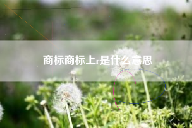 商标商标上r是什么意思