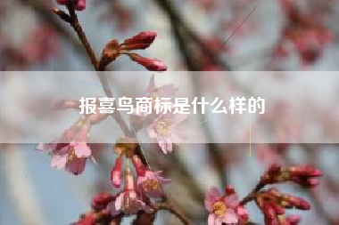 报喜鸟商标是什么样的