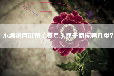 木编织百叶帘（家具）属于商标第几类？