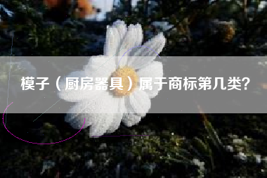 模子（厨房器具）属于商标第几类？
