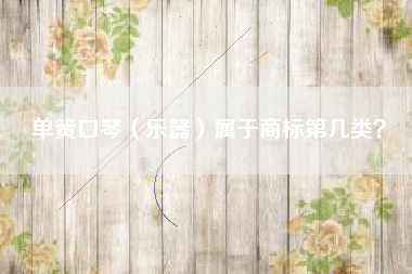 单簧口琴（乐器）属于商标第几类？