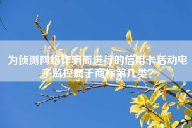 为侦测网络诈骗而进行的信用卡活动电子监控属于商标第几类？