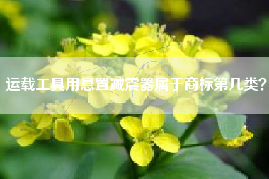 运载工具用悬置减震器属于商标第几类？