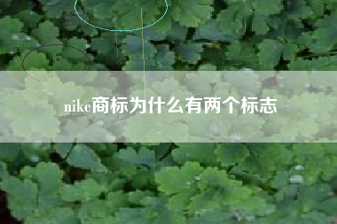 nike商标为什么有两个标志