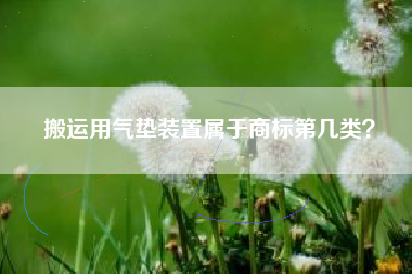 搬运用气垫装置属于商标第几类？