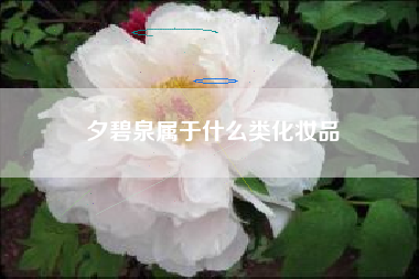 夕碧泉属于什么类化妆品