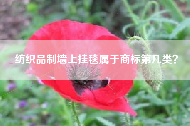 纺织品制墙上挂毯属于商标第几类？