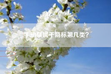 手动泵属于商标第几类？