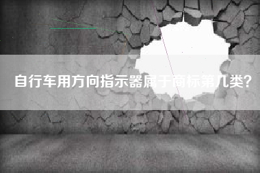 自行车用方向指示器属于商标第几类？