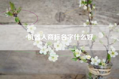 机器人商标名字什么好