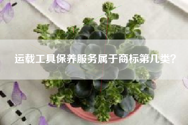运载工具保养服务属于商标第几类？