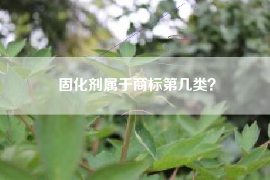 固化剂属于商标第几类？