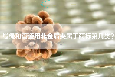 缆绳和管道用非金属夹属于商标第几类？