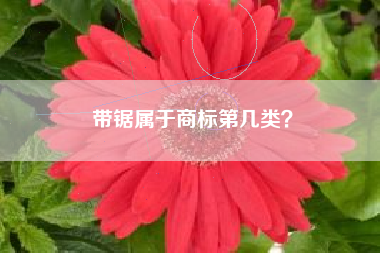 带锯属于商标第几类？